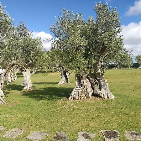 Das Oliveiras Villa *