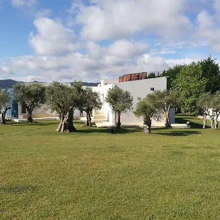 Das Oliveiras